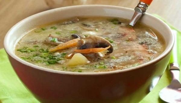 Грибной суп из сушеных грибов — приготовление по простым рецептам и быстро