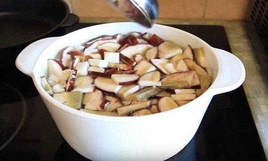 Грибной суп из свежих грибов, самые вкусные рецепты приготовления с картошкой
