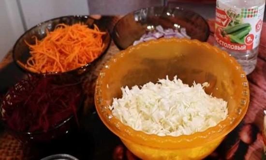 Весенний салат из капусты и моркови — быстрые и вкусные рецепты приготовления