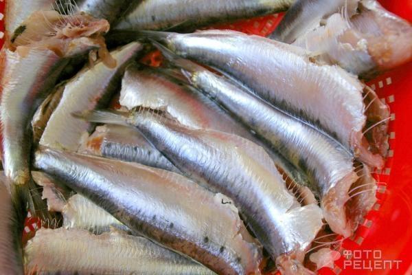 Рецепт: Засолка рыбы - Сардины а-ля селедка
