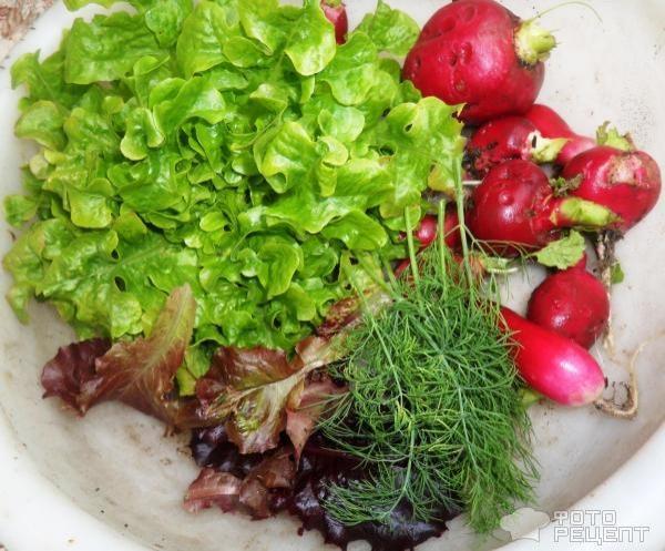 Рецепт: Салат из редиса и листьев салата - с огурцом