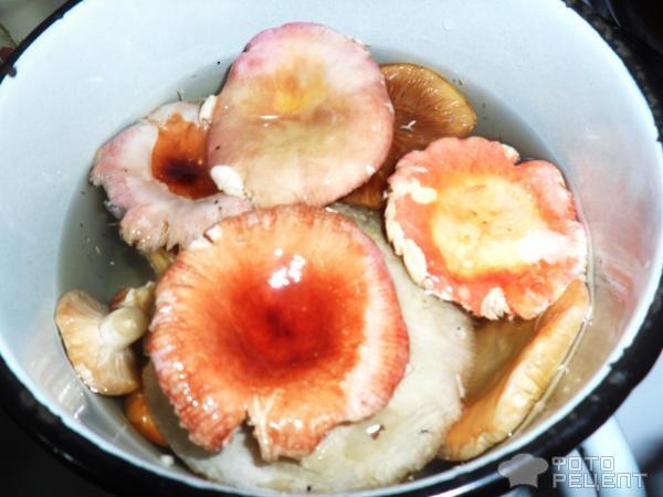 Рецепт: Заготовка грибов на зиму - отварные сыроежки