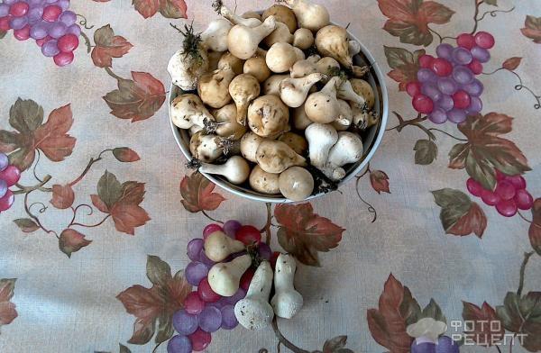 Рецепт: Жареные грибы дождевики с курицей в сливочном соусе - Экономный вариант ужина и немного о дождевиках.