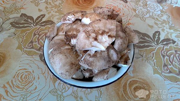 Рецепт: Жареные грибы зонтики - Грибной деликатес со вкусом куриной отбивной. Простой и быстрый рецепт.